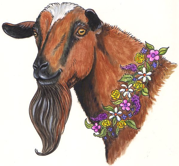 Goat Flower Farm Fainting Goats - Home